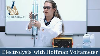 Electrolysis with a Hoffman Voltameter [upl. by Seabrooke]