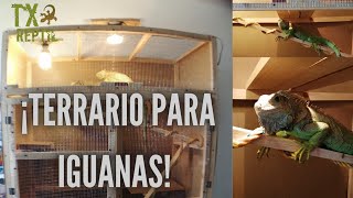 ¡TERRARIO PARA IGUANAS ¿Cómo lo hice  Explicación de terrario y sus características [upl. by Ruder]