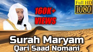 Surah Maryam سورة مريم  Qari Saad Nomani  English Translation [upl. by Nonna191]