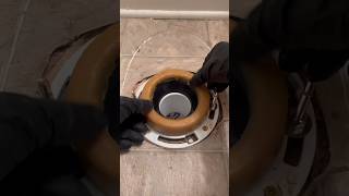 How To Repair a Broken Toilet Flange plumbing plumbingrepair shorts toilet flange repair [upl. by Jollenta]