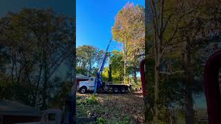 Crane work in East Tennessee 🇺🇸🌲🪵 treeservice treeplantation craneservice heavyequipment [upl. by Goldy757]