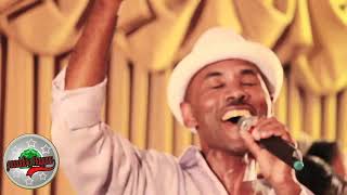 Best of Muktar Usman Oromo Music Collection [upl. by Eidissac]