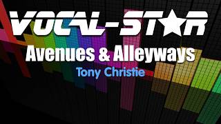 Tony Christie  Avenues And Alleyways Karaoke Version with Lyrics HD VocalStar Karaoke [upl. by Einnal]