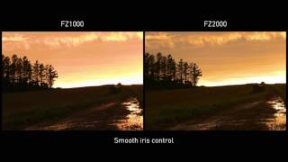 Introducing LUMIX FZ2000FZ2500 Video Performance I [upl. by Leunad697]