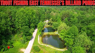 Trout Fishing East Tennessees Dillard Ponds [upl. by Repinuj]