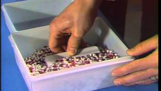 Red Bead Experiment with Dr W Edwards Deming [upl. by Roht609]