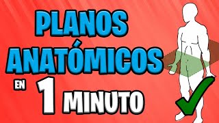 ✅ PLANOS ANATÓMICOS en 1 MINUTO 😱 [upl. by Ayamahs]