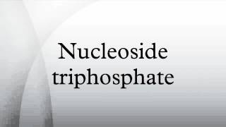 Nucleoside triphosphate [upl. by Gardol92]