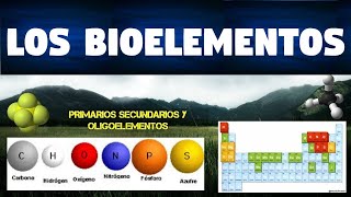 TODO SOBRE LOS BIOELEMENTOS  CLASIFICACIÓN Y FUNCIONES  CARACTERISTICAS [upl. by Eirrem193]