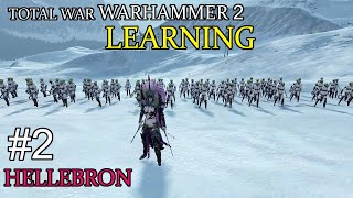 Learning Warhammer 2 2  Death Night Crone Hellebron [upl. by Kerr]