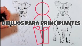 20 MINUTOS de DIBUJOS y EJERCICIOS para PRINCIPIANTES [upl. by Trah967]