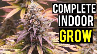 Seed To Harvest A Complete Indoor Cannabis Grow [upl. by Beckman]