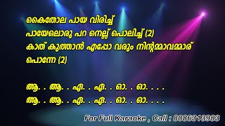 Kaithola Paya Virichu Karaoke With Lyrics  Nadanpattukal [upl. by Noami]