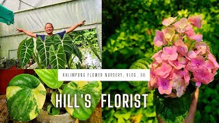 Hills Florist  Kalimpong Flower Nursery 🌻  Nursery Vlog56🌱 [upl. by Ayotnahs]