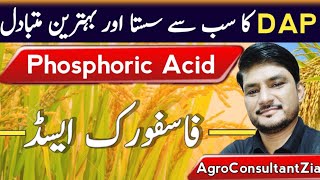 Phosphoric Acid  Best source of Phosphorus  AgroConsultantZia [upl. by Atnod]