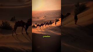 The Sahara Was Once a Green Jungle shorts viralvideo viralshorts [upl. by Cilo]