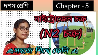 CLASS  10💥 Chapter5📚Nitrogen cycle🚀 N2 cycle🔜 in bangla 💯 [upl. by Tifanie891]