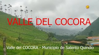 VALLE DEL COCORA  COLOMBIA [upl. by Anikes775]