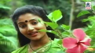 Oru Kilyin Song HD Poovizhi Vasalile Ilaiyaraja [upl. by Seumas491]