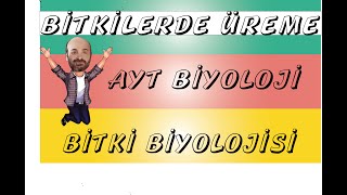 BİTKİLERDE ÜREME 2  BİTKİ BİYOLOJİSİ [upl. by Schiff]