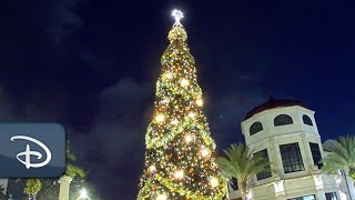 Disney Springs Christmas Tree Stroll Presented By AdventHealth  Walt Disney World [upl. by Alie]