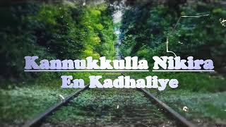 Kannukkulla Nikira En Kadhaliye  ALBUM SONG LYRICS [upl. by Aelhsa]