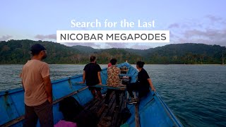 In Search of the Last Nicobar Megapodes [upl. by Johnny]