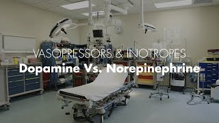 Dopamine vs Norepinephrine  Vasopressors amp Inotropes [upl. by Accber633]