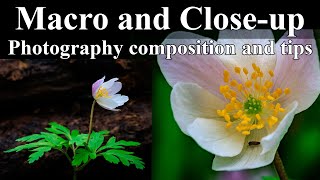 HOW TO USE Macro amp Telephoto lenses for Closeup Photography [upl. by Eiderf]