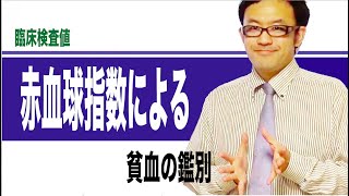 赤血球指数による貧血の鑑別 [upl. by Beisel]