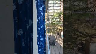 Quick Video From Balcony 865 2nd Floor Gladstone Avenue Ottawa Canada Sept 1624 [upl. by Dallon93]