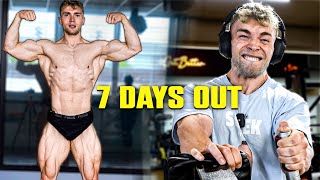 Ich will die Stoffer mit 85Kg schlagen 7 Days Out [upl. by Nyrahs615]