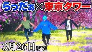 らっだぁさん東京タワーでイベントやってるってマ？？？？【実写】 [upl. by Nediarb]