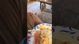 So you want a dachshund noprivacy dogs cute food [upl. by Etan]