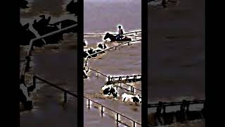 The 1997 Modesto Flood edit fyp [upl. by Glinys275]