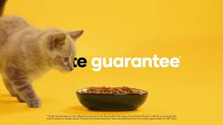 Petbarn Taste Guarantee [upl. by Hairym]