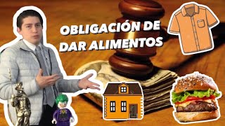 Obligación de dar alimentos [upl. by Amby792]