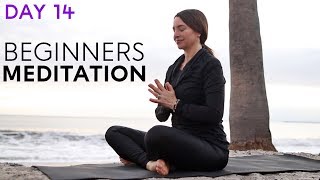 Beginners Meditation 10 min Guided Day 14  Fightmaster Yoga Videos [upl. by Tatianna]