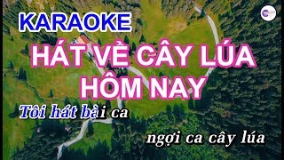 Hát Về Cây Lúa Hôm Nay  KARAOKE HD  Beat Chuẩn [upl. by Astra]