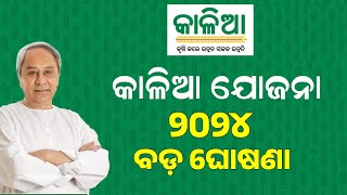 Kalia Yojana New Update 1st January  Kalia Yojana eKYC 2024  Odisha TV [upl. by Eseila]