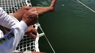 Multihull Net Fastening [upl. by Normac]