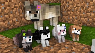 Wolf Life 1 Wolf And His Family  Minecraft Animation [upl. by Evans]