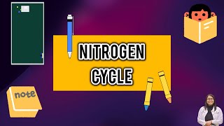 Nitrogen Cycle explained for students [upl. by Adiuqram]