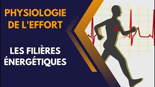 EPS  physiologie de leffort  les filières énergétiques [upl. by Jacob]