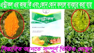 এন্ট্রাকল ৭০ ডব্লিউ পি। Antracol 70 WP এর কাজ কি। এন্ট্রাকল ছত্রাকনাশক বিস্তারিত। Bayer antracol [upl. by Evars]