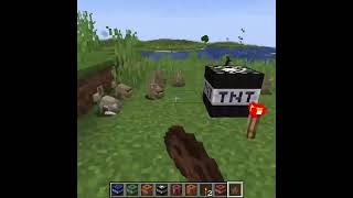 Minecraft Tnt Vs Villager 830 Short [upl. by Hajidahk]