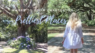 Wadmalaw Island Vlog  Exploring Charleston [upl. by Sydalg636]