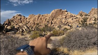 JOSHUA TREE NATIONAL PARK 🇺🇸🐿️ [upl. by Cicely]