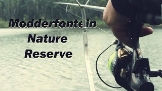 Modderfontein Nature Reserve [upl. by Marcellus]