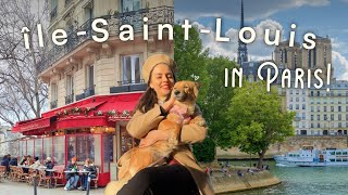 Paris Most Charming Island Gems of Île SaintLouis [upl. by Elleyoj]